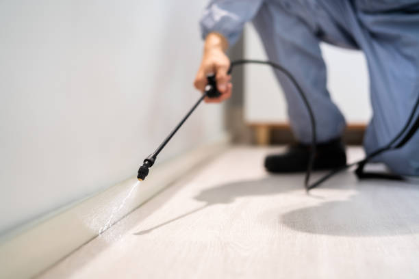 Rodent Entry Point Assessment in Winter Haven