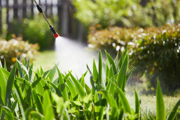 Tamper-Resistant Bait Stations for Rodents in Winter Haven