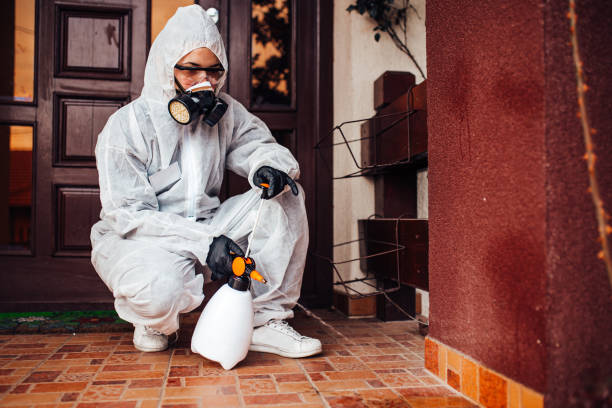 Attic and Crawl Space Rodent Treatment in Winter Haven
