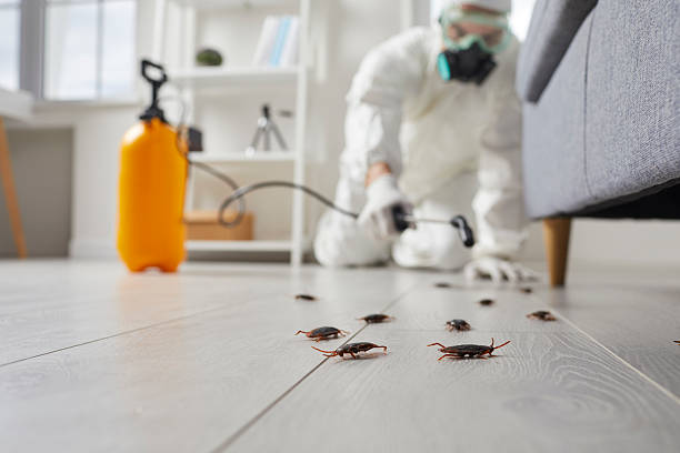 Commercial Rodent Management in Winter Haven